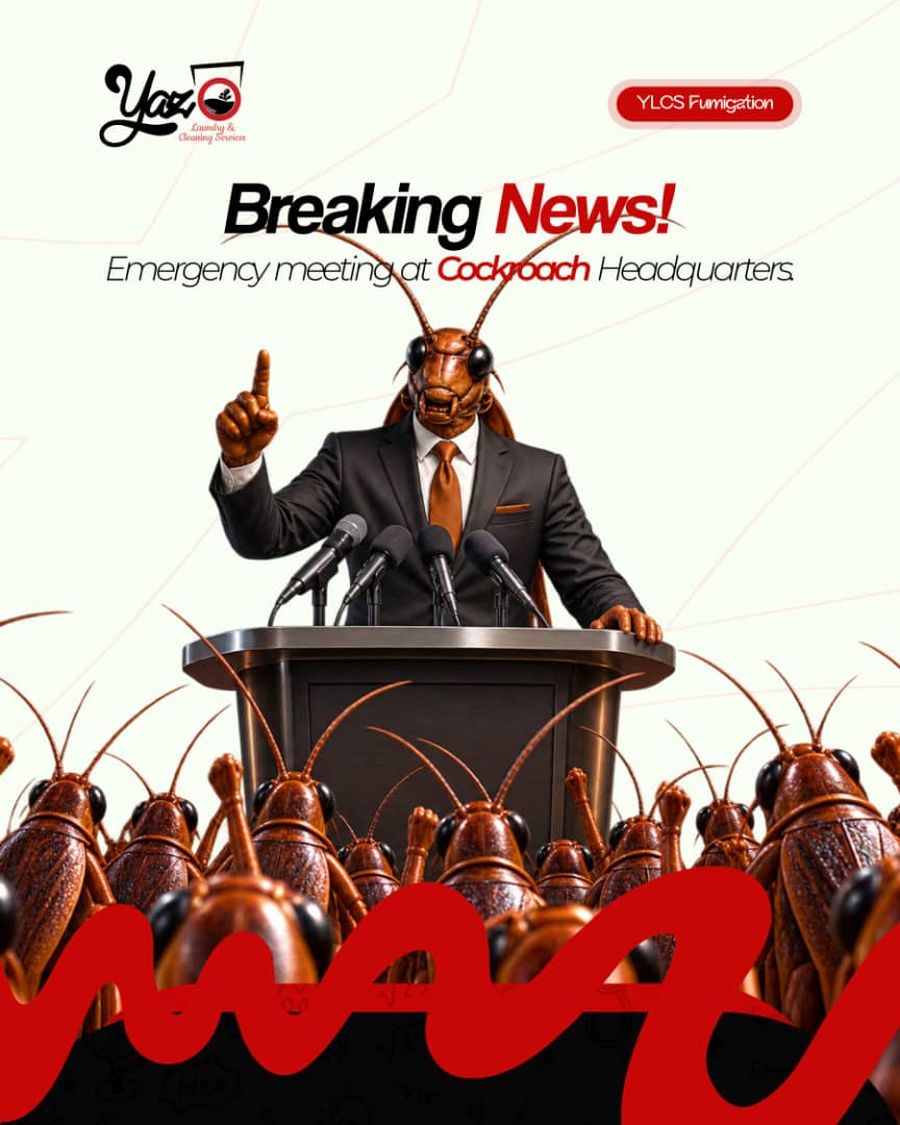 Professional Fumigation and Pest Control Services in Abuja: Effective Rodent Control and Rat Baiting